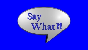 Say What Show Logo
